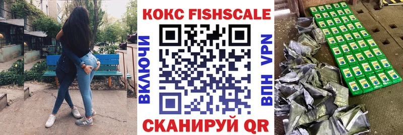 Cocaine FishScale  магазин продажи   KRAKEN сайт  Саранск 