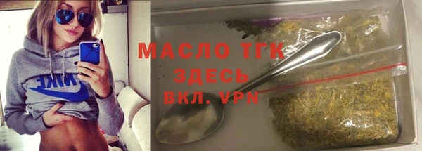гашик Бородино