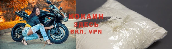 гашик Бородино