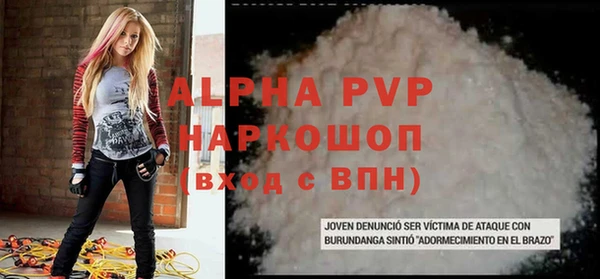 гашик Бородино