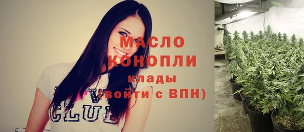 гашик Бородино